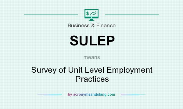 What does SULEP mean? It stands for Survey of Unit Level Employment Practices