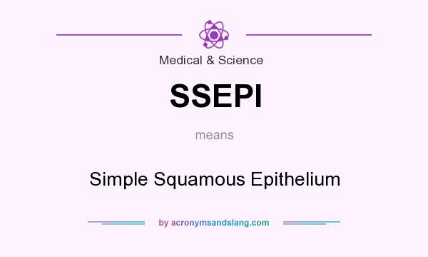 What does SSEPI mean? It stands for Simple Squamous Epithelium