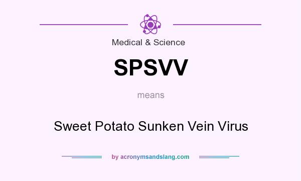 What does SPSVV mean? It stands for Sweet Potato Sunken Vein Virus