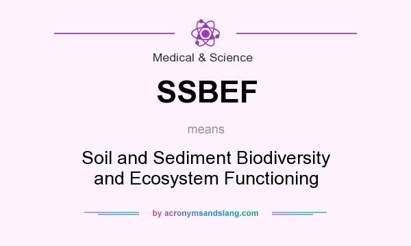 What does SSBEF mean? It stands for Soil and Sediment Biodiversity and Ecosystem Functioning