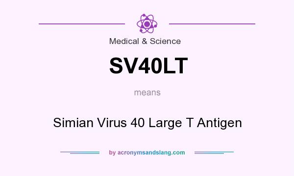 What does SV40LT mean? It stands for Simian Virus 40 Large T Antigen