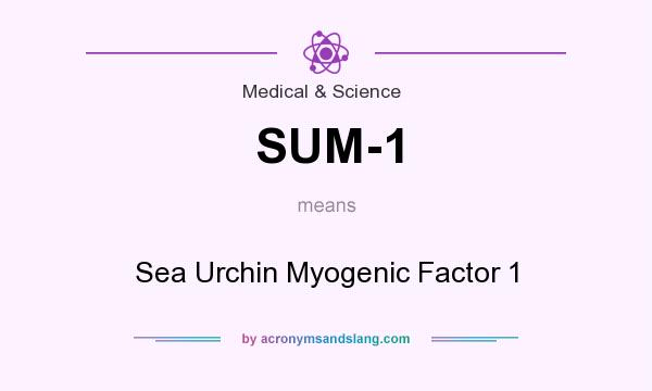 What does SUM-1 mean? It stands for Sea Urchin Myogenic Factor 1