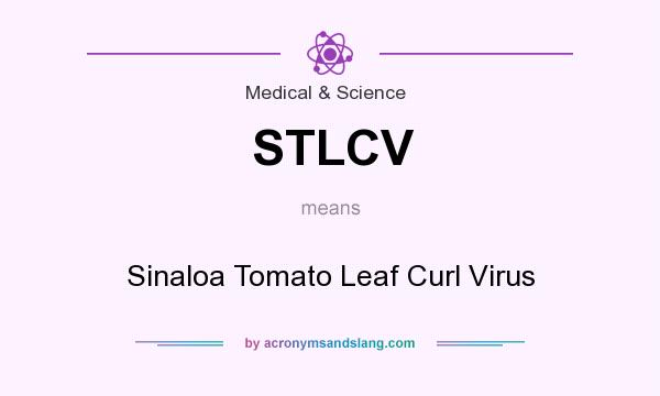 What does STLCV mean? It stands for Sinaloa Tomato Leaf Curl Virus