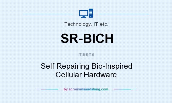 What does SR-BICH mean? It stands for Self Repairing Bio-Inspired Cellular Hardware