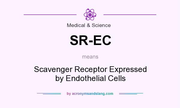 What does SR-EC mean? It stands for Scavenger Receptor Expressed by Endothelial Cells