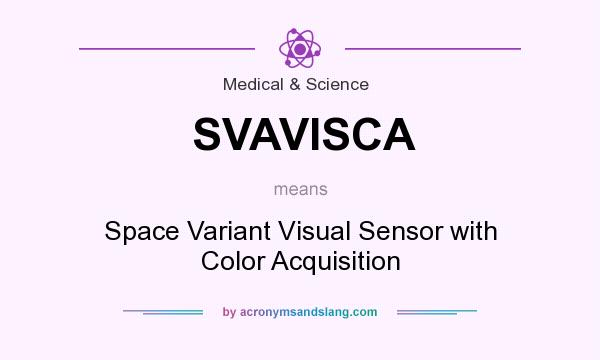 What does SVAVISCA mean? It stands for Space Variant Visual Sensor with Color Acquisition