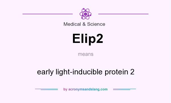 What does Elip2 mean? It stands for early light-inducible protein 2
