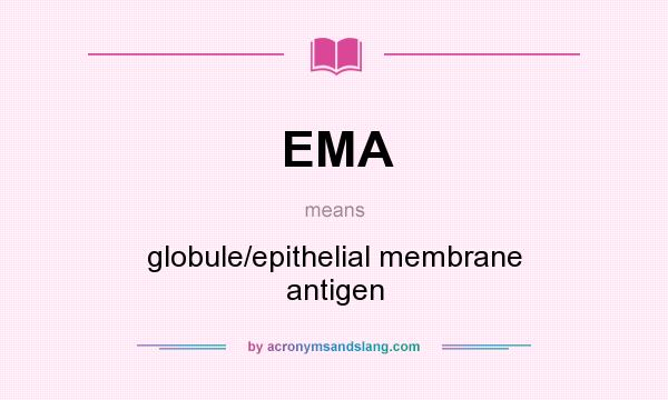 What does EMA mean? It stands for globule/epithelial membrane antigen