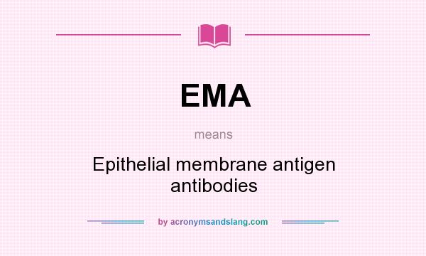What does EMA mean? It stands for Epithelial membrane antigen antibodies