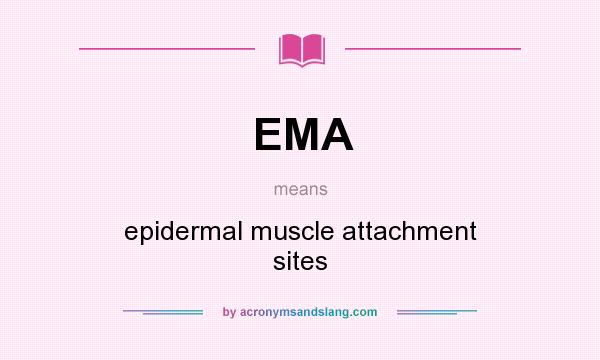 What does EMA mean? It stands for epidermal muscle attachment sites
