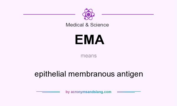 What does EMA mean? It stands for epithelial membranous antigen