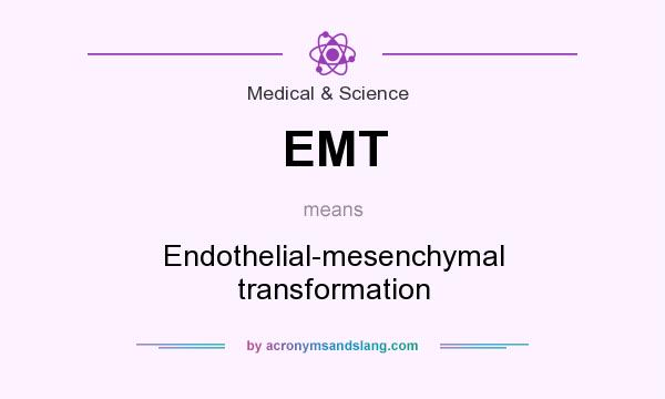 What does EMT mean? It stands for Endothelial-mesenchymal transformation