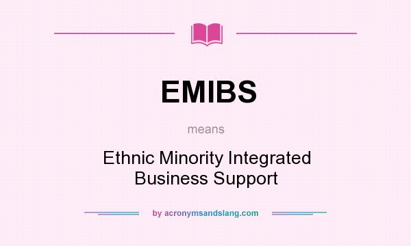 What does EMIBS mean? It stands for Ethnic Minority Integrated Business Support