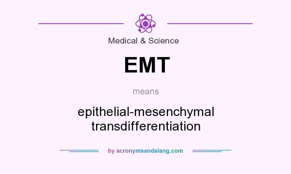 What does EMT mean? It stands for epithelial-mesenchymal transdifferentiation