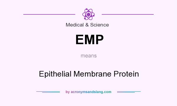 What does EMP mean? It stands for Epithelial Membrane Protein