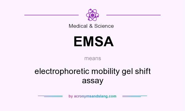 What does EMSA mean? It stands for electrophoretic mobility gel shift assay