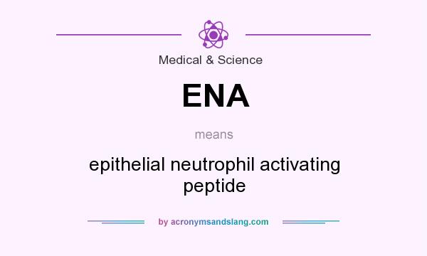 What does ENA mean? It stands for epithelial neutrophil activating peptide
