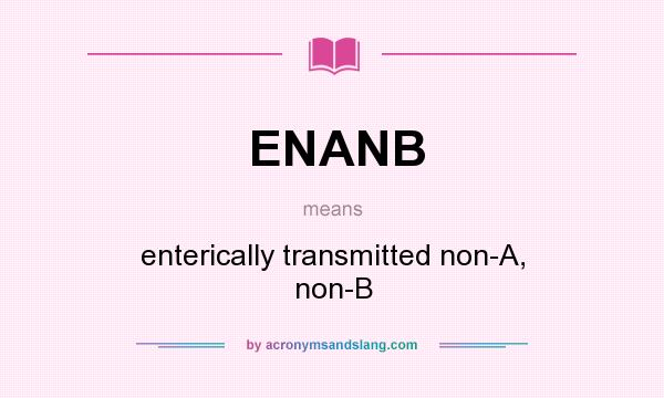 What does ENANB mean? It stands for enterically transmitted non-A, non-B