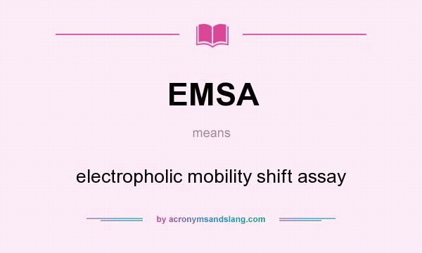 What does EMSA mean? It stands for electropholic mobility shift assay