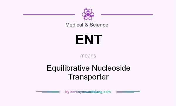 What does ENT mean? It stands for Equilibrative Nucleoside Transporter