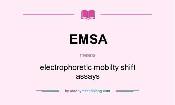 What does EMSA mean? It stands for electrophoretic mobilty shift assays