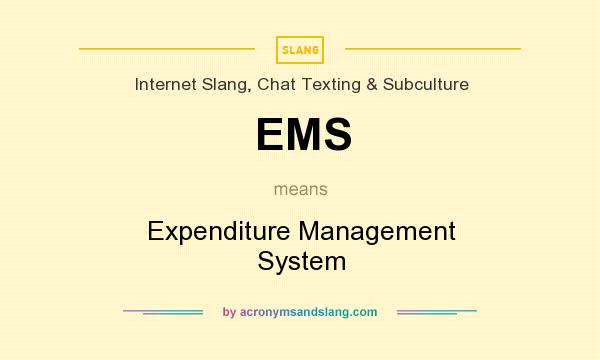 What does EMS mean? It stands for Expenditure Management System