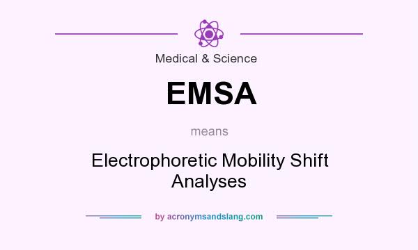 What does EMSA mean? It stands for Electrophoretic Mobility Shift Analyses