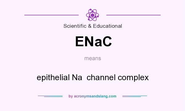 What does ENaC mean? It stands for epithelial Na  channel complex