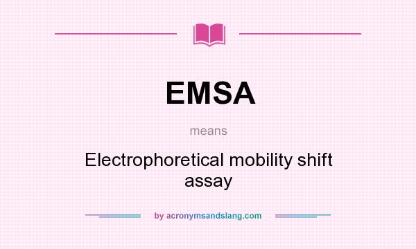 What does EMSA mean? It stands for Electrophoretical mobility shift assay