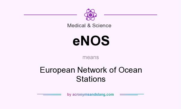 What does eNOS mean? It stands for European Network of Ocean Stations