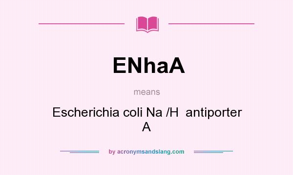 What does ENhaA mean? It stands for Escherichia coli Na /H  antiporter A