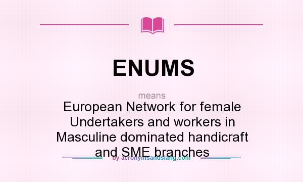 What does ENUMS mean? It stands for European Network for female Undertakers and workers in Masculine dominated handicraft and SME branches