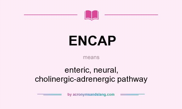 What does ENCAP mean? It stands for enteric, neural, cholinergic-adrenergic pathway
