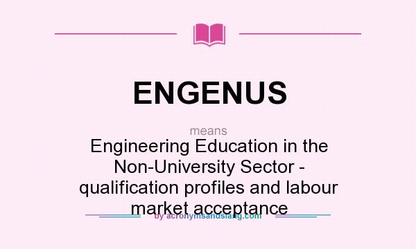 What does ENGENUS mean? It stands for Engineering Education in the Non-University Sector - qualification profiles and labour market acceptance
