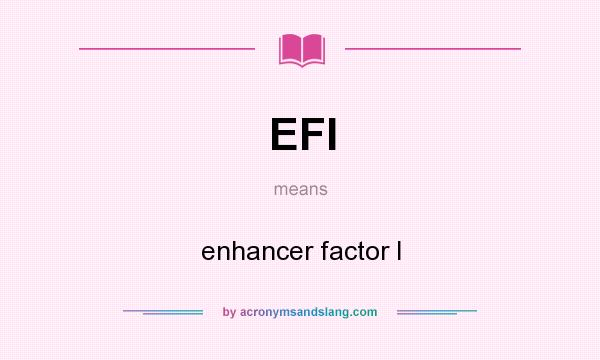 What does EFI mean? It stands for enhancer factor I