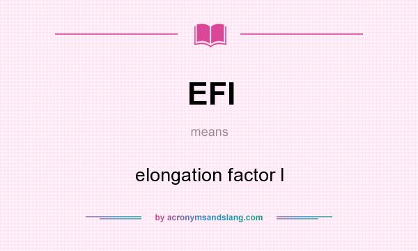 What does EFI mean? It stands for elongation factor I