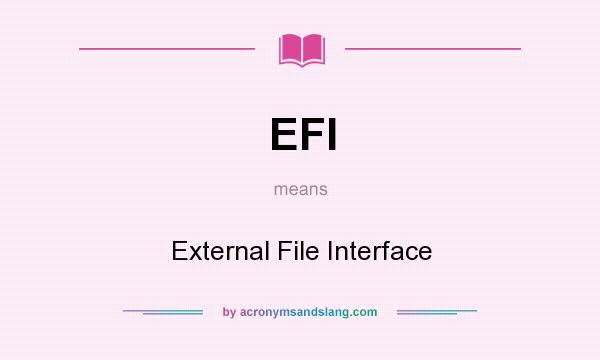 What does EFI mean? It stands for External File Interface