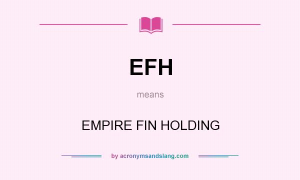 What does EFH mean? It stands for EMPIRE FIN HOLDING