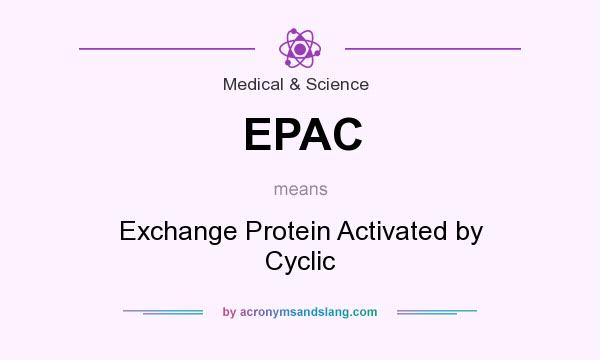 What does EPAC mean? It stands for Exchange Protein Activated by Cyclic