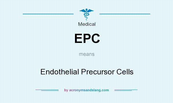 What does EPC mean? It stands for Endothelial Precursor Cells