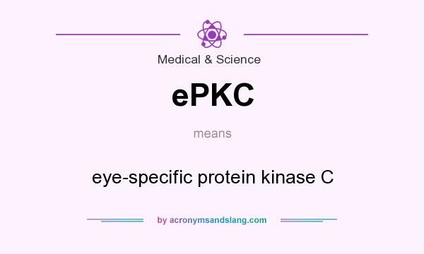 What does ePKC mean? It stands for eye-specific protein kinase C