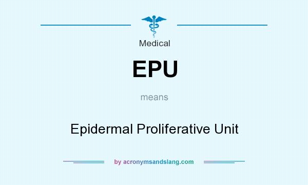 What does EPU mean? It stands for Epidermal Proliferative Unit