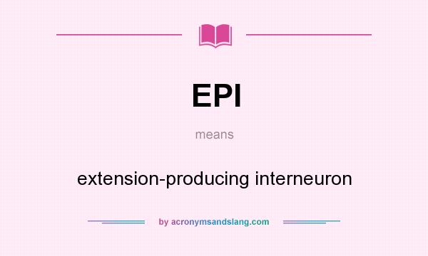 What does EPI mean? It stands for extension-producing interneuron