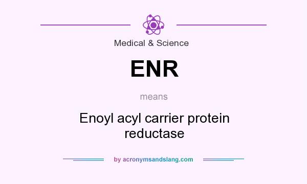 What does ENR mean? It stands for Enoyl acyl carrier protein reductase