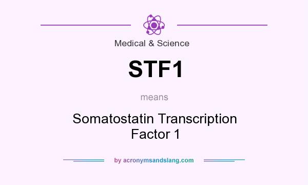 What does STF1 mean? It stands for Somatostatin Transcription Factor 1