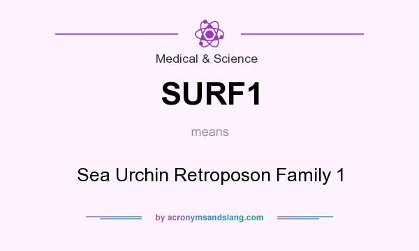 What does SURF1 mean? It stands for Sea Urchin Retroposon Family 1