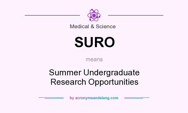 What does SURO mean? It stands for Summer Undergraduate Research Opportunities