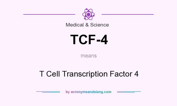 What does TCF-4 mean? It stands for T Cell Transcription Factor 4