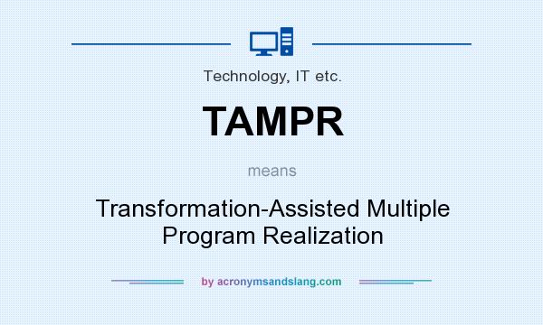 What does TAMPR mean? It stands for Transformation-Assisted Multiple Program Realization
