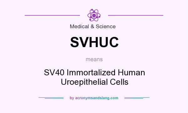 What does SVHUC mean? It stands for SV40 Immortalized Human Uroepithelial Cells